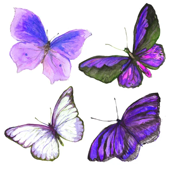 Kelebekler uçan koleksiyonu suluboya. — Stok fotoğraf