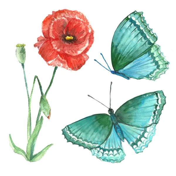 Acrylic image of wildflowers and butterflies on a white backgrou — Stock Photo, Image