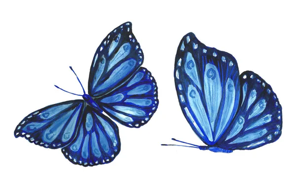 Collection aquarelle de papillons volants . — Photo