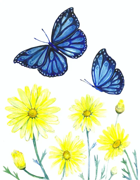 Acrylic image of wildflowers and butterflies on a white backgrou — Stock Photo, Image