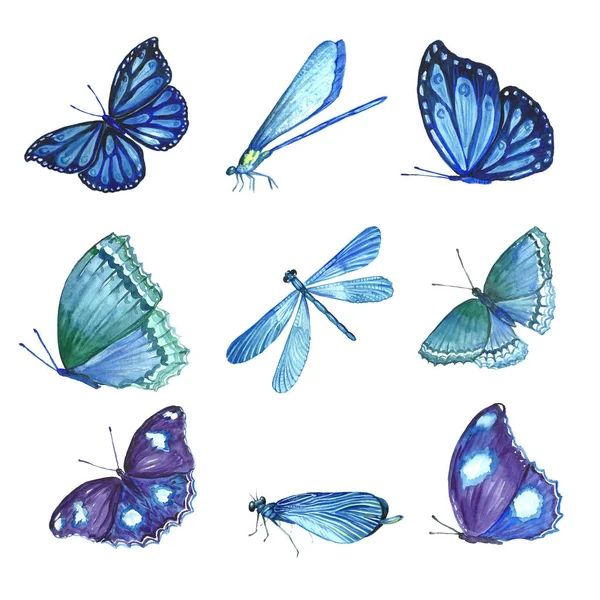 Kelebekler uçan koleksiyonu suluboya. — Stok fotoğraf