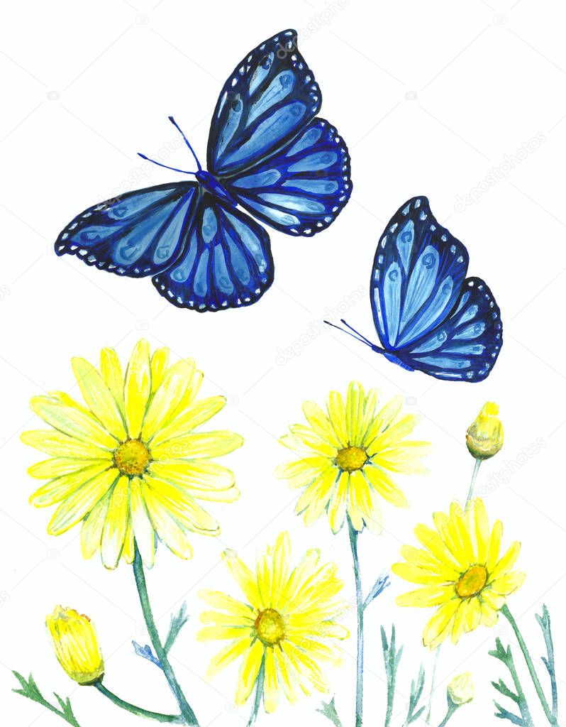 Acrylic image of wildflowers and butterflies on a white backgrou