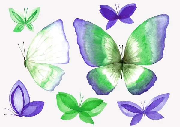 Eine Sammlung von Aquarell-Schmetterling-Illustrationen. — Stockfoto