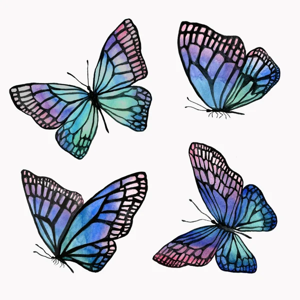 Egy gyűjteménye illusztrációk akvarell pillangók a b — Stock Fotó