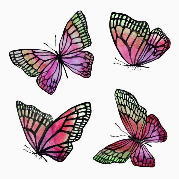Eine Sammlung von Abbildungen von Aquarell-Schmetterlingen mit einem b — Stockfoto