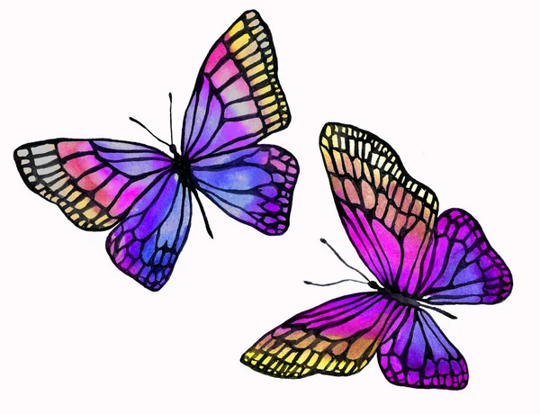 Иллюстрация акварельных бабочек с черным контуром . — стоковое фото