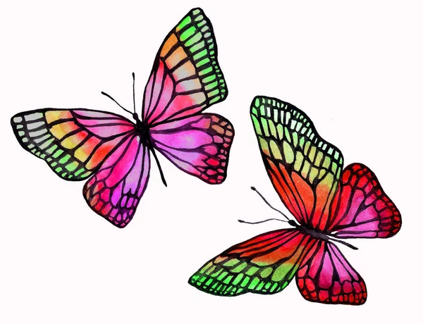 Ілюстрація акварельних метеликів з чорним контуром . — стокове фото