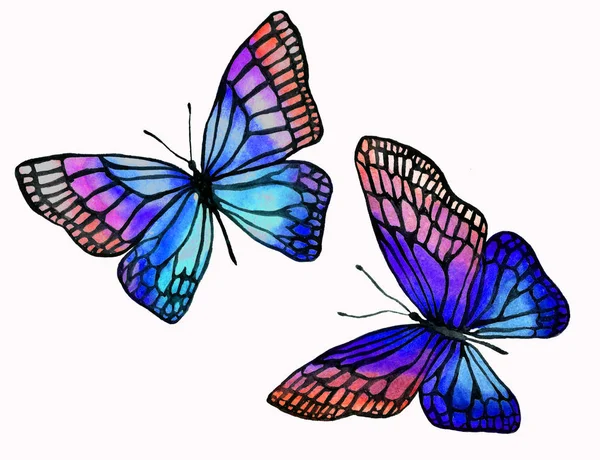 Ilustración de mariposas acuarela con un contorno negro . —  Fotos de Stock