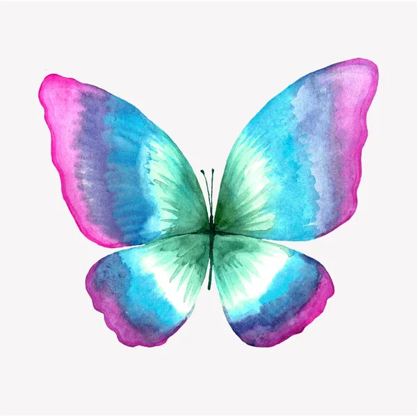 Illustration of a watercolor butterfly. — Stock Photo, Image