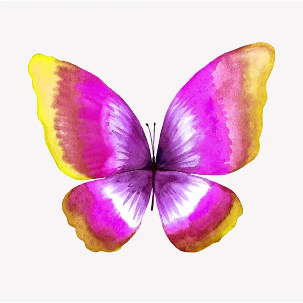 Illustration of a watercolor butterfly. — Stock Photo, Image