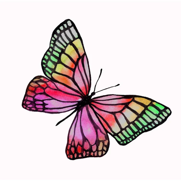 Illustration of a watercolor butterfly with a black outline. — Stock Photo, Image