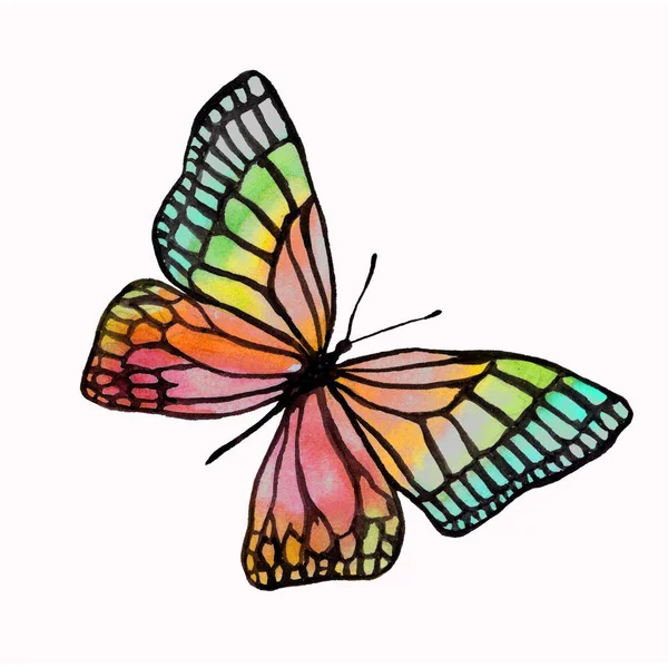 Illustration of a watercolor butterfly with a black outline. — Stock Photo, Image