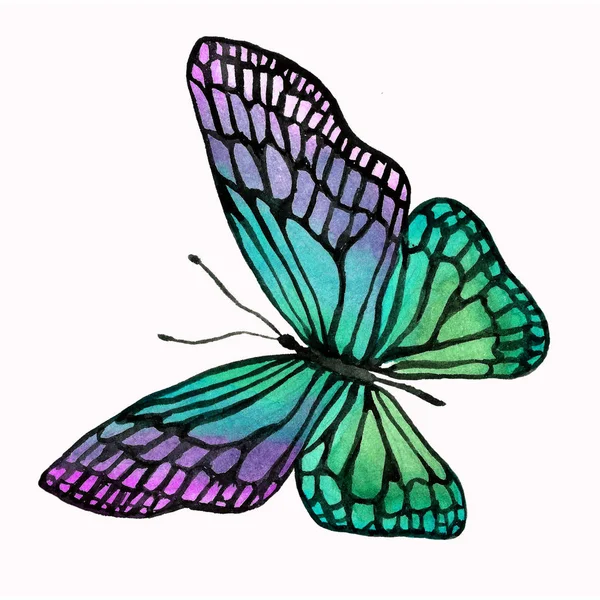 Ilustracja akwarela motyla z czarną obwódką. — Zdjęcie stockowe