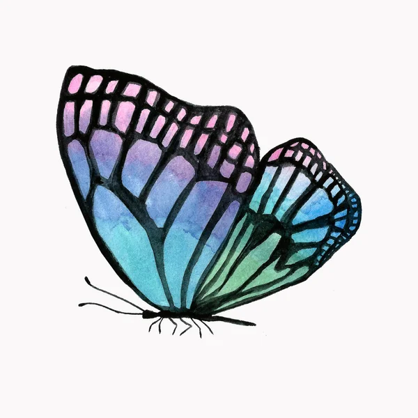 Illustration eines Aquarell-Schmetterlings mit schwarzem Umriss. — Stockfoto