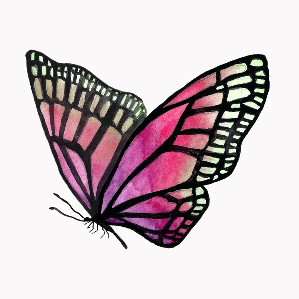 Illustration of a watercolor butterfly with a black outline. — Stock Photo, Image