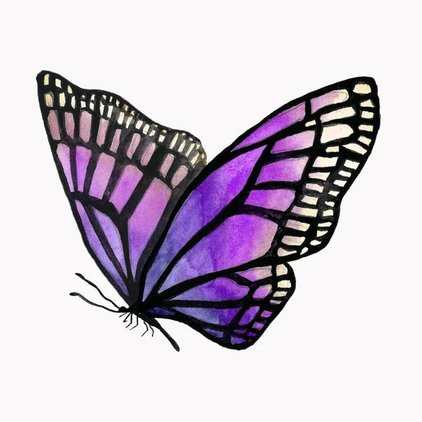 Ілюстрація акварельного метелика з чорним контуром . — стокове фото