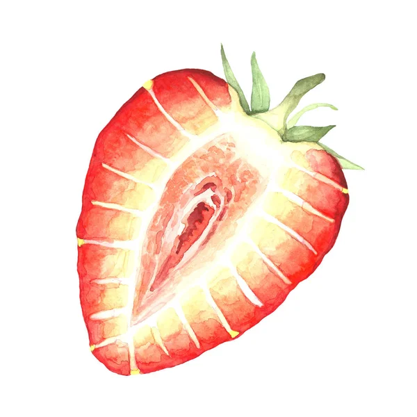 Illustration aquarelle d'une fraise coupée — Photo