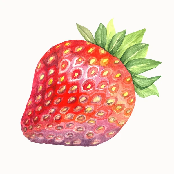 Frische rote Erdbeere in Aquarell — Stockfoto