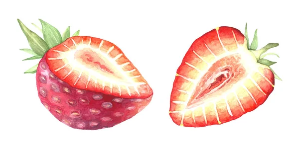 Ilustração aquarela de um morango de redução — Fotografia de Stock