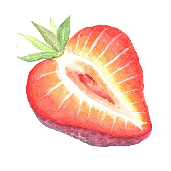 熟したイチゴ — ストック写真