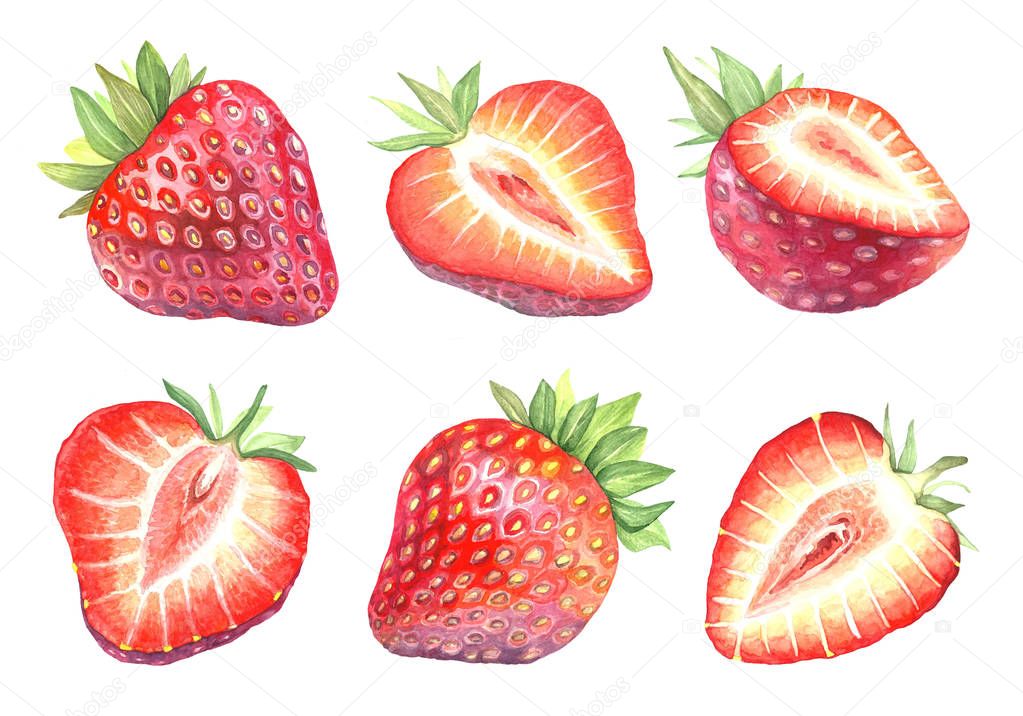 Strawberry isolated collection