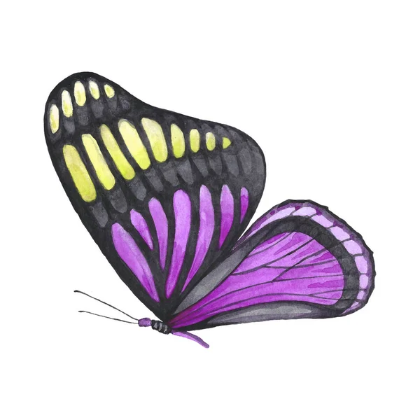 Schmetterlingsmuster Gelben Und Rosa Farben — Stockfoto
