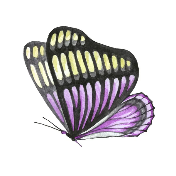 Wzór Motyla Kolorach Żółtym Różowym — Zdjęcie stockowe