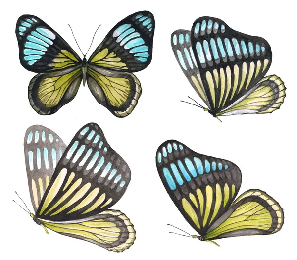 Yellow-blue butterflies set — 스톡 사진