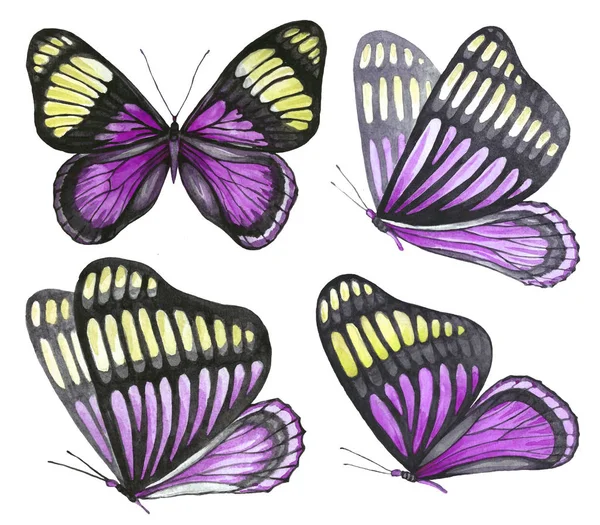 Жовтувато-рожевий набір метеликів — стокове фото