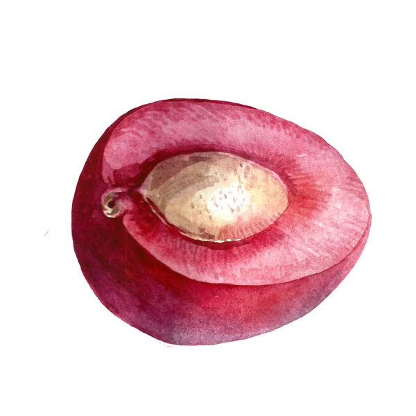 Image Aquarelle Une Cerise Avec Sur Fond Blanc Figure Fruits — Photo