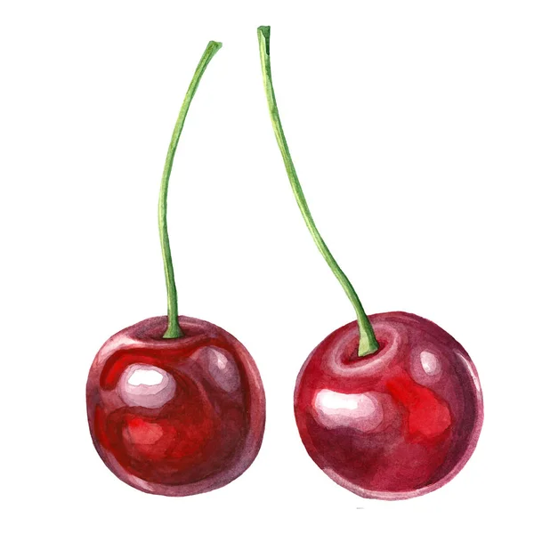 Cerezas Frescas Imagen Acuarela Hecha Mano Dibujo Aislado — Foto de Stock