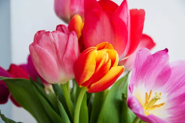 Bouquet lumineux de tulipes ouvert, une agréable surprise pour les femmes — Photo
