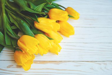 Bahar beyaz ahşap zemin üzerine Sarı laleler