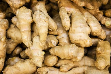 Taze horseradish kök deposuna