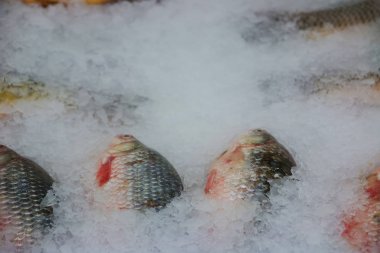 buz cips taze balık depolama koşulları