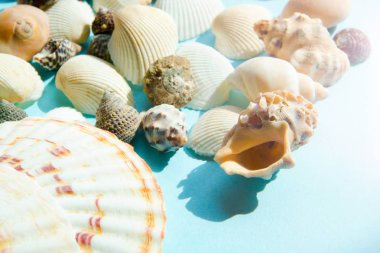 Deniz güneş ışığı altında yatıyordu düz desen mavi arka plan, deniz tatil arka plan, üstten görünüm