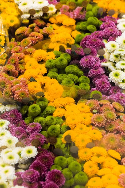 Flower chrysanthemums bouquets backgrounds of bright variety of colors, beautiful details in one bouquet. Selective focus