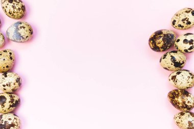 Pembe arka planda bıldırcın yumurtası. Üst görünüm, seçici odak.