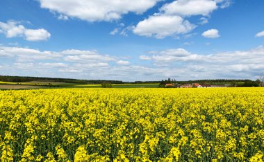 Kırsal alanların ve bulutların parlak, güzel yaz manzarası. Güzel bulutların manzarası ve çayırdaki çiçeklerin açtığı bir tarla. Mobil fotoğraf.