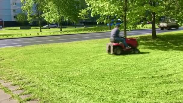 Mowing Lawn Lawn Mower Man Mows Lawn Mobile Video Moscow — Stock Video