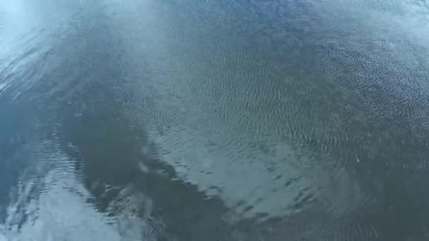 Κίνηση Κυματισμοί Στην Επιφάνεια Του Νερού Του Ποταμού — Αρχείο Βίντεο