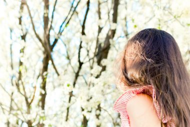 Saçları sırtına kadar inmiş genç bir kız sıcak havalarda çiçek açan bir elma ağacına poz veriyor. Seçici odak.