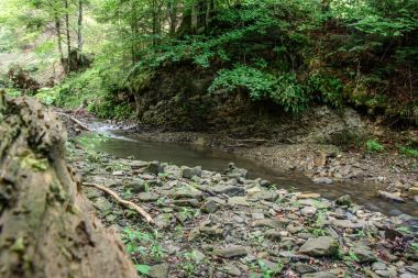 Karpatlar her zaman olduğu gibi hoş bize onların harika doğa ile sürpriz olabilir
