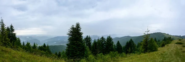 Wspaniałą Panoramę Górze Yavorinka Karpatach Ukraińskich Podczas Deszczu Niesamowita Panorama — Zdjęcie stockowe