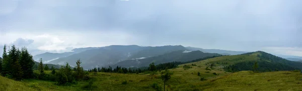 Panorama Incrível Montanha Yavorinka Nos Cárpatos Ucranianos Durante Chuva Panorama — Fotografia de Stock