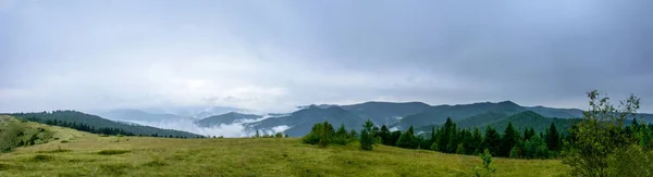 Wspaniałą Panoramę Górze Yavorinka Karpatach Ukraińskich Podczas Deszczu Niesamowita Panorama — Zdjęcie stockowe