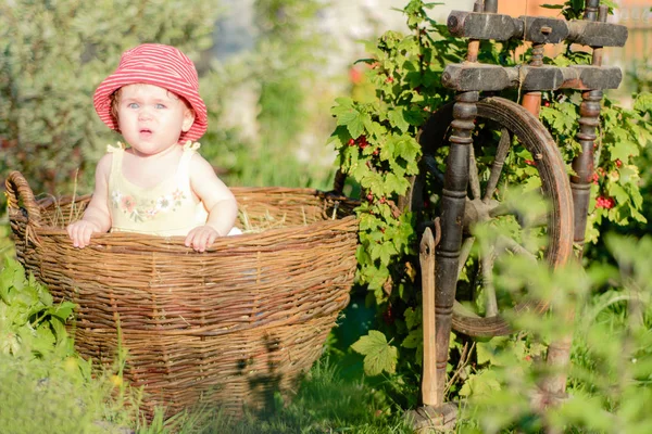 Sevimli küçük bir kız bir saman bahçede bir sepet içinde oturur — Stok fotoğraf