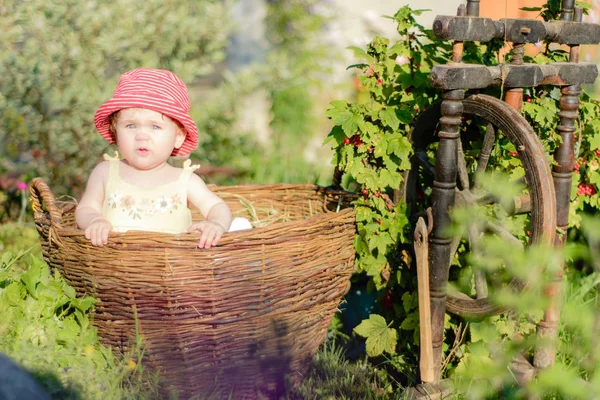 Sevimli küçük bir kız bir saman bahçede bir sepet içinde oturur — Stok fotoğraf