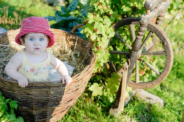 Sevimli küçük bir kız bir saman bahçede bir sepet içinde oturur — Stok fotoğraf