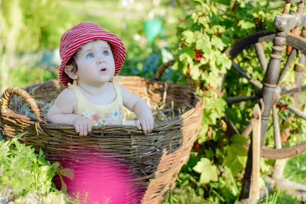 Sevimli küçük bir kız bir saman bahçede bir sepet içinde oturur — Stok fotoğraf